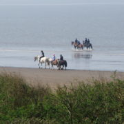 Beach Horse Riding